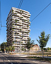 totibi sast 40301 Q1BT2-167.jpg