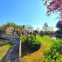 Ihr Garten Eden Doppelparzelle mit Schwimmteich
