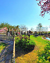 Ihr Garten Eden Doppelparzelle mit Schwimmteich