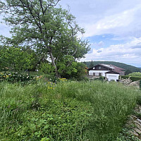 Grundstück in Wolfsgraben, Obj. 4138