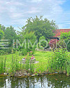 Garten EDEN mit Ferinehaus