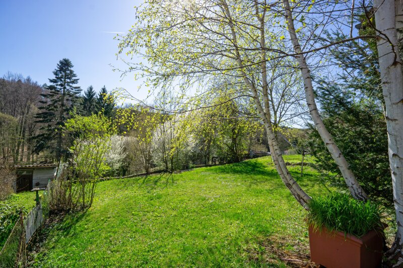 Blick über das Bauland (Wiese) Richtung Grünland