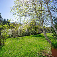 Blick über das Bauland (Wiese) Richtung Grünland