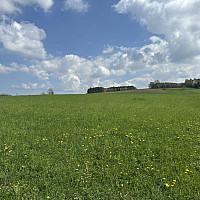 IMG_3167.JPEG