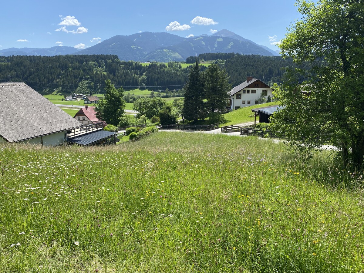Foto Sommer !