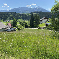 Foto Sommer !