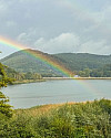 Blick auf den Wienerwaldsee