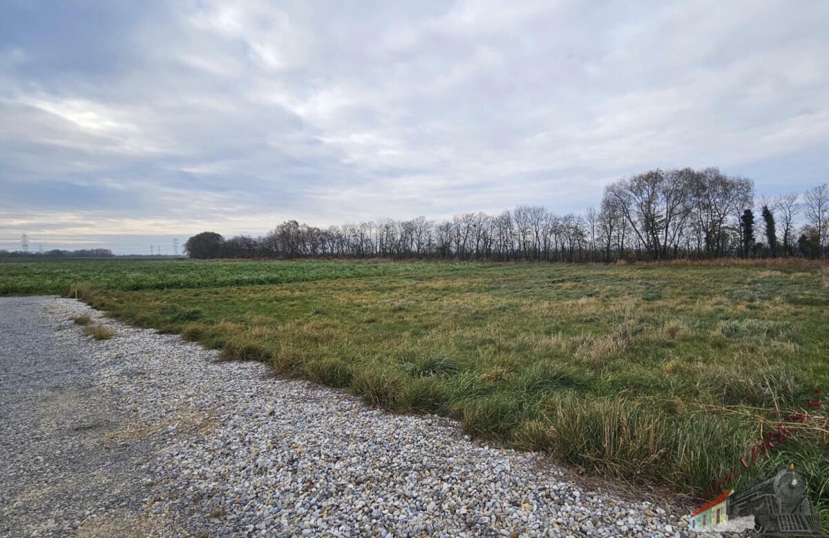 WhatsApp Image 2025-11-16 at 13.45.53 (1)