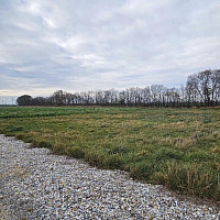 WhatsApp Image 2025-11-16 at 13.45.53 (1)