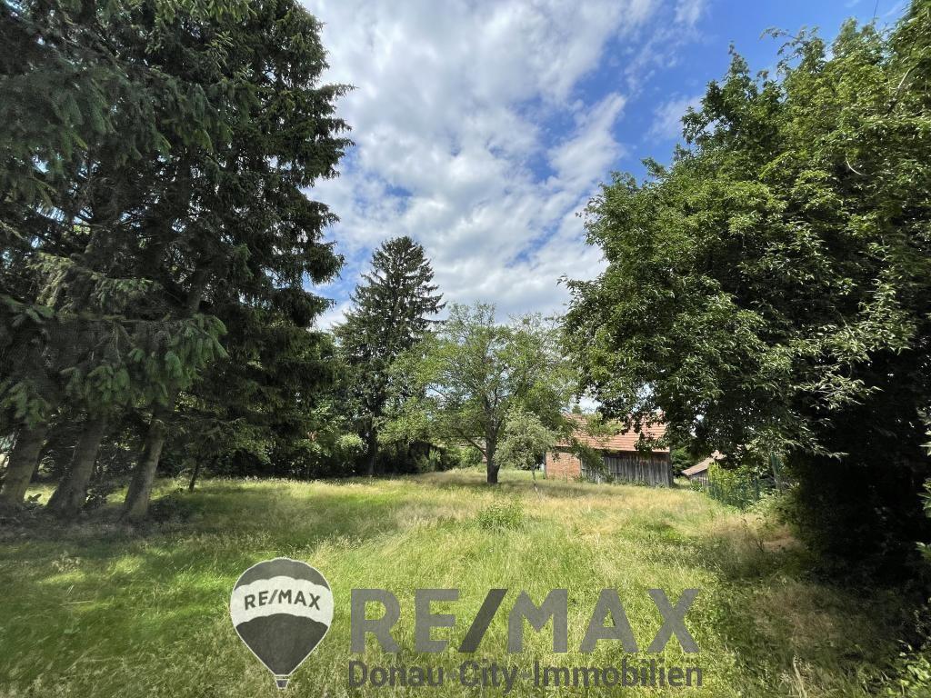 01 Baugrundstück Ollern