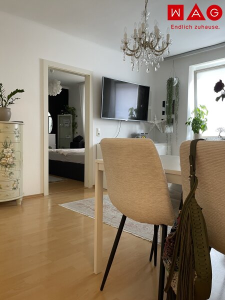 Wohn- und Esszimmer (Einrichtungsbeispiel)