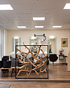 Bild1