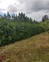 seyring baugrund 1