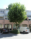 inbiau scsc 117609 (1).JPG
