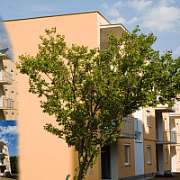 inbiau sast 35201 foto.jpg