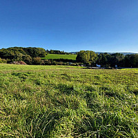 Obj. 3980 - Baugrund Neulengbach