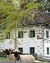 Blick vom Teich zum Haus