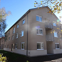 inbiau anru 404701 mave 404701 DSC09853.JPG