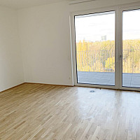 Musterwohnküche 1.1