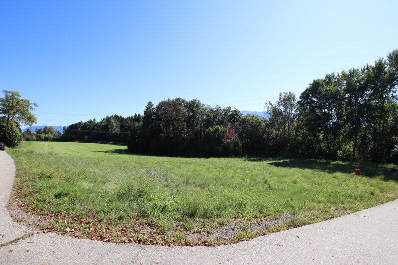 Schöner, großer und flacher 1.850m² Baugrund in Ludmannsdorf - Lukowitz