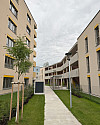 Wohnhausanlage mit Grünfläche und Bäumen