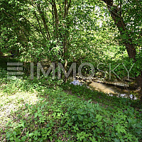 idyllisches Bacherl
