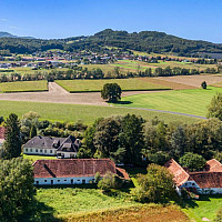 Landwirtschaft Mühle kaufen Feldbach (1)