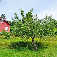 Ansicht