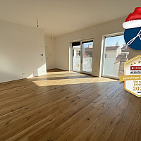 Wohnküche, Parkett, 30 m²