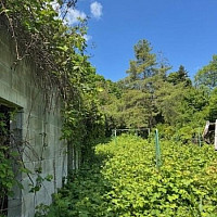 Garten.