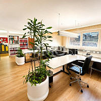 Großes Büro