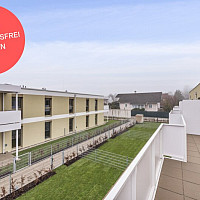 Färber² | Terrasse