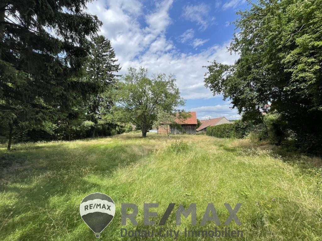 01 Baugrundstück Ollern