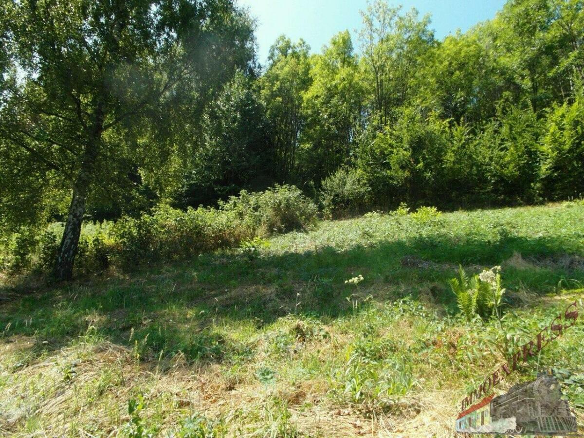 -6035343067621475821_121