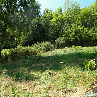 -6035343067621475821_121