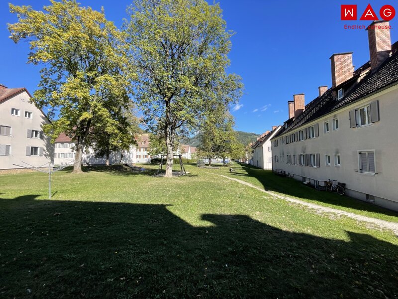 Grünfläche Lewaldstraße