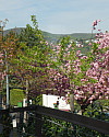 DSC09896