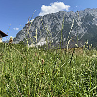 IMG_2100