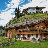 KITZIMMMO - Bauernhaus mit Freizeitwohnsitz kaufen in Fieberbrunn -10-14