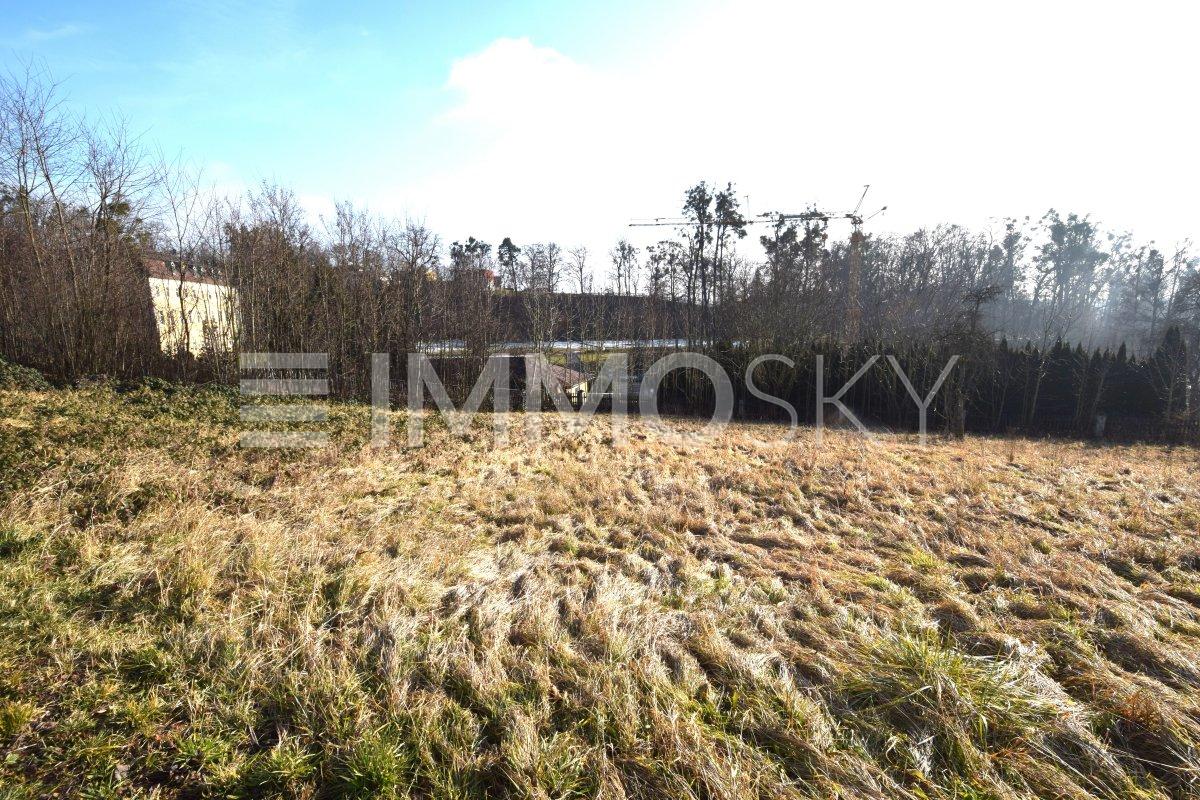 grosszügig und hell