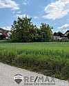 01 Baugrundstück Wördern Süd Seite