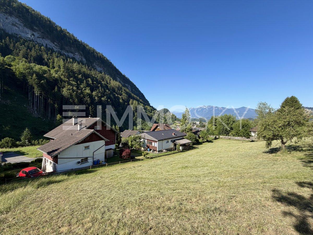 Schöner Blick