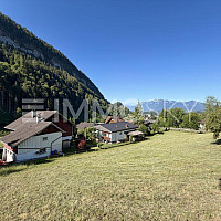 Schöner Blick