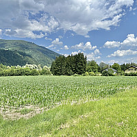 IMG_3430.jpeg