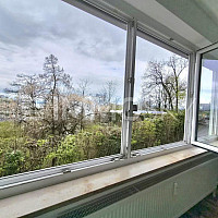 Aussicht zum See