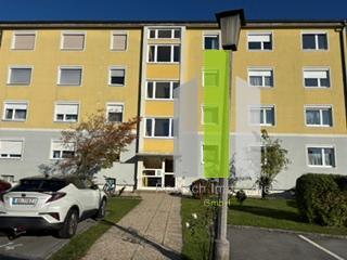 IMG_1946