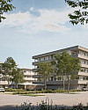 Hortensienstraße