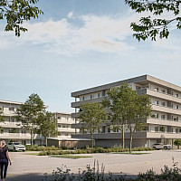 Hortensienstraße