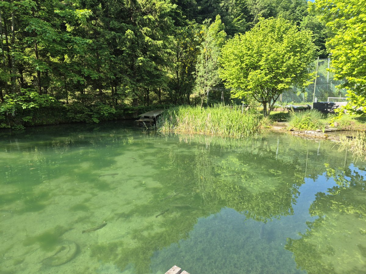 Urlaubsfeeling zu Hause genießen!