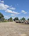 20260703_120345_resized